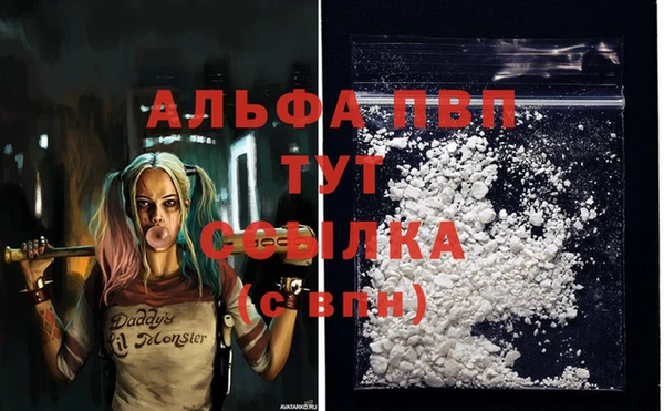apvp Бородино