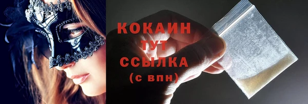 apvp Бородино