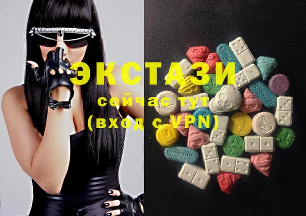 ECSTASY Богородицк