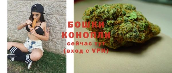 apvp Бородино