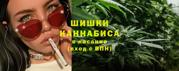 apvp Бородино
