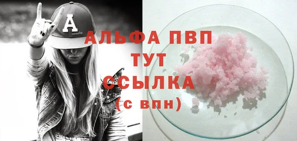 apvp Бородино