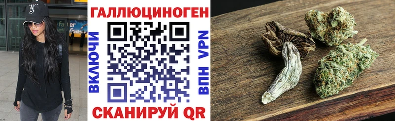 Псилоцибиновые грибы GOLDEN TEACHER Южно-Сухокумск